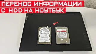 Как с жёсткого диска перенести информацию на ноутбук? Перенос данных с HDD.