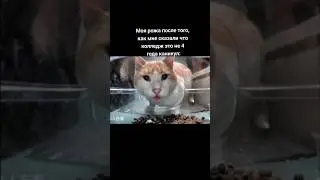КАНИКУЛЫ В КОЛЛЕДЖЕ 