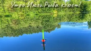 Рыбалка у дома на поплавок в середине Июля!