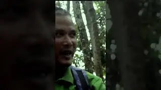 Very Interesting Video || Mokai