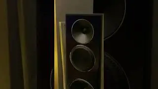 Paradigm FOUNDER 120H on Sound Sommelier YouTube channel! 