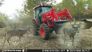 Can FOOD Plots REALLY Reduce STRESS on our Missouri Land?