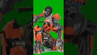 Orange Bumblebee Green Screen VFX studio