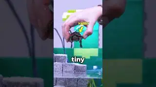 LEGO Minecraft for my Turtle 🐢