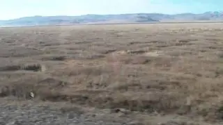 В Кокоря по дороге. Чуйская степь.