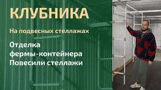 Подвесная система для клубники в 40 фут контейнере!