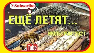 Ещё летят..июль Рой 2021