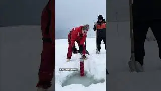 Penguin visitors interrupt Antarctic field work