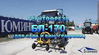 Грунтофреза БЛ-170 (для сада, виноградников и питомников)