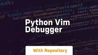 python vim debugger