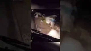 HANTUNYA HAMPIR GEPENG🤣 
