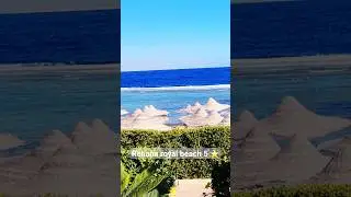 Египет 🇪🇬 Шарм-эль-Шейх. Отель 5 *