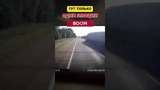 🤬КАК ОНИ ТАМ ОКАЗЫВАЮТСЯ??? 