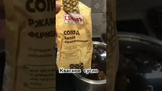 Домашний квас на ржаной закваске. ч.1-я.