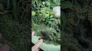 Find the Joy