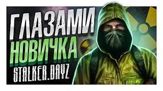 STALKER RP в DAYZ ГЛАЗАМИ НОВИЧКА в 2023 году, часть 2 | New Story