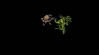 Nordom in the Fortress of Regrets (Planescape Torment Enhanced Edition) PL