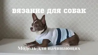 Вязание для собак - модель для начинающих.