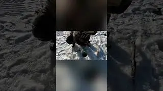 Утянуло Удилище. |рыбалка в России | #fishing  #рыбалка #shorts