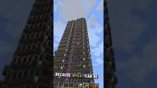 Most Useful Minecraft Farm