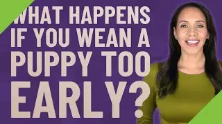 What happens if you wean a puppy too early?
