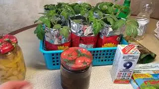 Чем подкормить рассаду? Банановая кожура, луковая шелуха   и др..