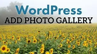 How to Add a Photo Gallery to WordPress
