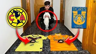 GATA PREDICE el CAMPEÓN del APERTURA 2023 | América vs Tigres