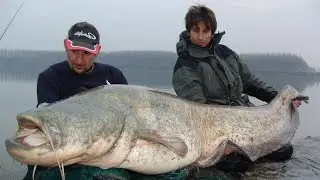 CATFISH RECORD in WINTER VERTICAL FISHING by CATFISH WORLD