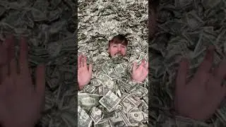 I Filled A Swimming Pool With Money!