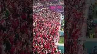 FIFA 2022 Canadian Crowd #shorts