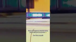Подробнее в профиле 🙄 ТГ: ДНЕВНИК РЕАЛЬНОЙ ПОЛИДОРИ