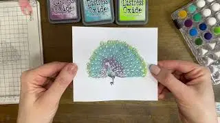 Stamping Tutorial with Shimmering Heat Embossing Technique - Peacock Plume