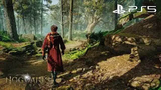 Hogwarts Legacy PS5 Walking in the FORBIDDEN FOREST 🌲