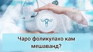 Кам шудани фоликулахо. Хомиладор шудан  мумкин аст?