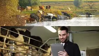 Animal Passport - Changing the way of Livestock Management