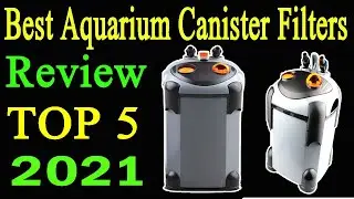 Top 5 Best Aquarium Canister Filters Review 2021