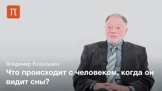 Осознанные сновидения — Владимир Ковальзон / ПостНаука