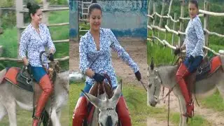 Lady's Donkey riding new video 