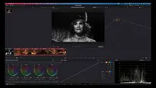 ROUND TRIP PREMIERE TO DAVINCI RESOLVE TO PREMIERE 1 SHORT VIDEO