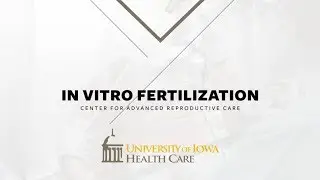 In Vitro Fertilization