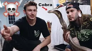 CRAZY Cobras and MASSIVE Rattlesnakes with Chandlers Wild Life and Tyler Nolan ;)