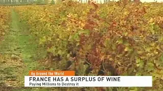 France Has 80 Million Gallon Wine Surplus: Paying Millions to Destroy It