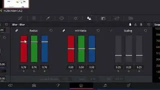 How to BLUR a Video on Da Vinci Resolve