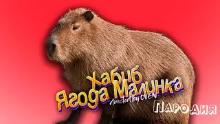 ПЕСНЯ про КАПИБАРУ клип ХАБИБ - Ягода Малинка ПАРОДИЯ на КАПИБАРА МЕМ / CAPYBARA