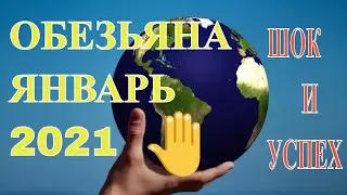 Обезьяна в Январе 2021 года. Гороскоп для знака Обезьяна на Январь 2021 года.