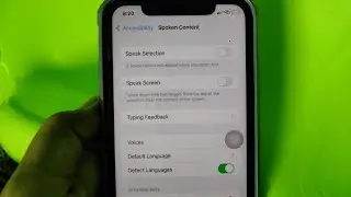 Speak Screen Not Working on iPhone or iPad in iOS 16 [Fixed]