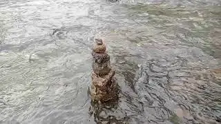 relaxing music with water sounds
