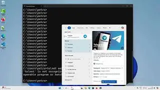 How to test the connectivity to a host from a Windows client