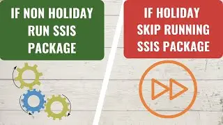 42 how to skip running ssis package on holidays